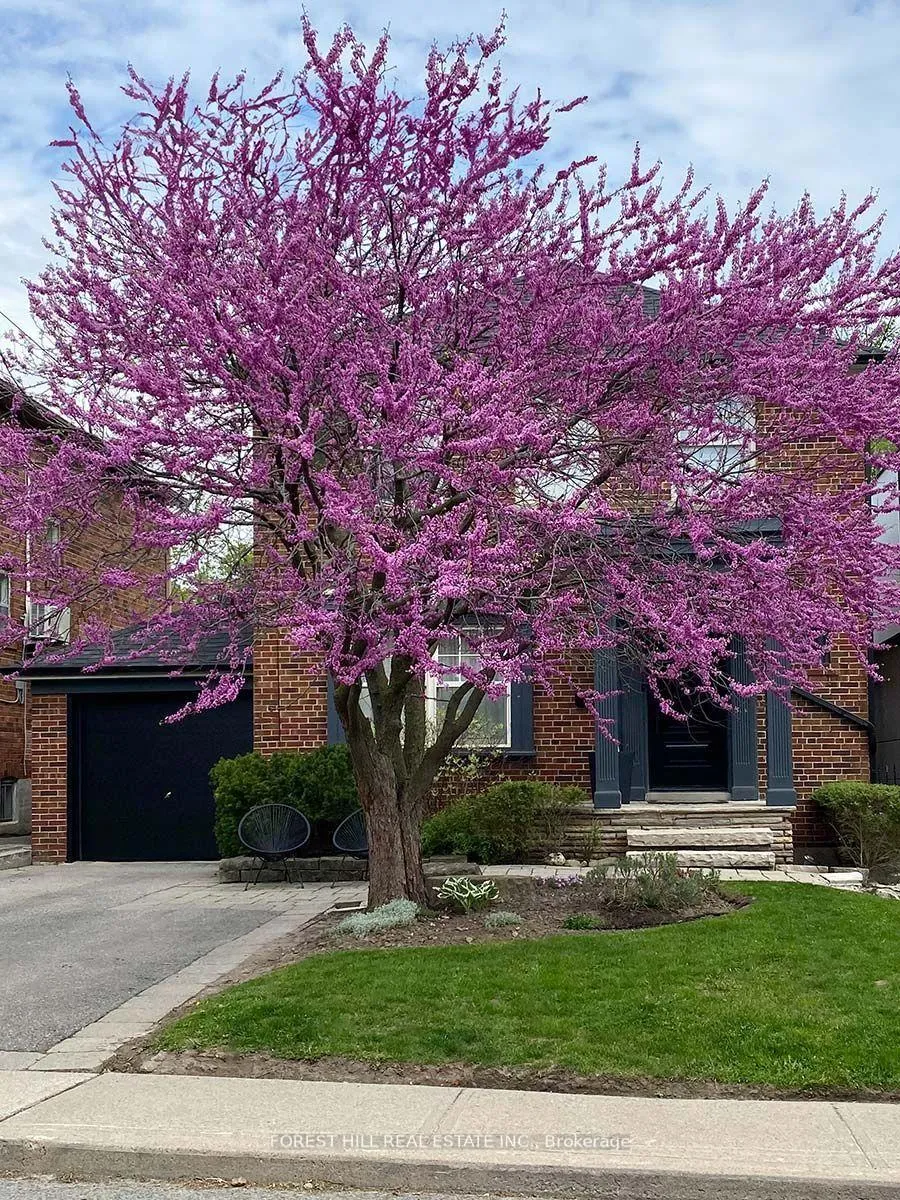 Photo 6 of 9 Peveril Hill S, Toronto, Humewood-Cedarvale — HOMEH
