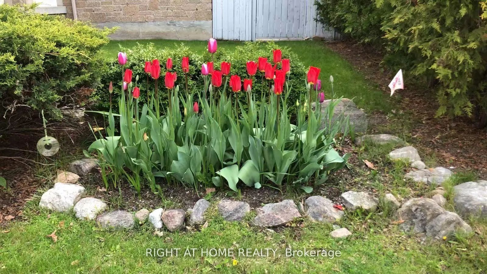 Photo 50 of 101 Heathfield Avenue, Markham, Victoria Manor-Jennings Gate — HOMEH