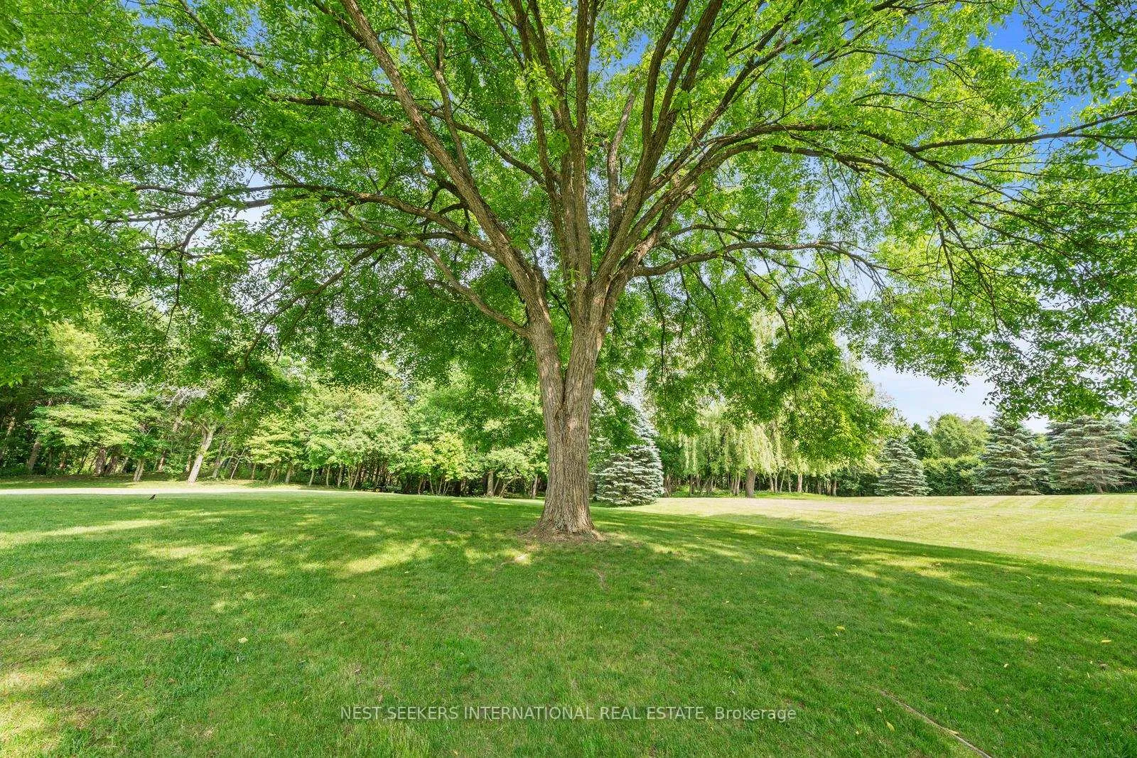 Photo 43 of 21 Rolling Court, King, King City — HOMEH