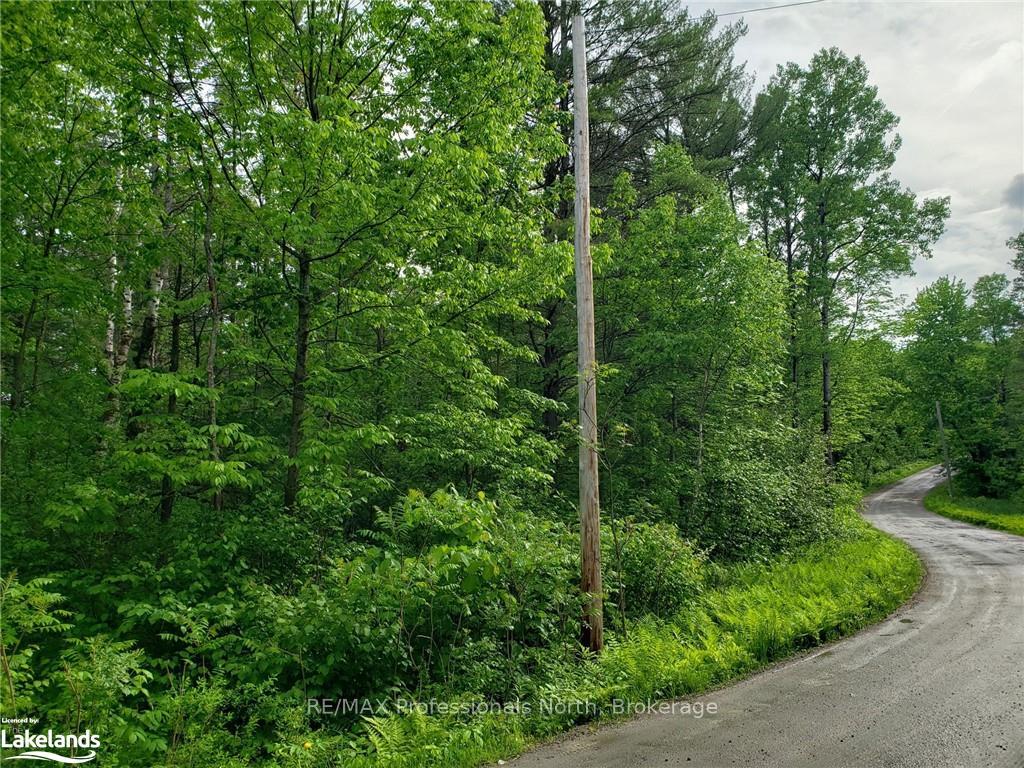 Photo 1 of 1185 Sam Cook Road, Gravenhurst, Ryde — HOMEH