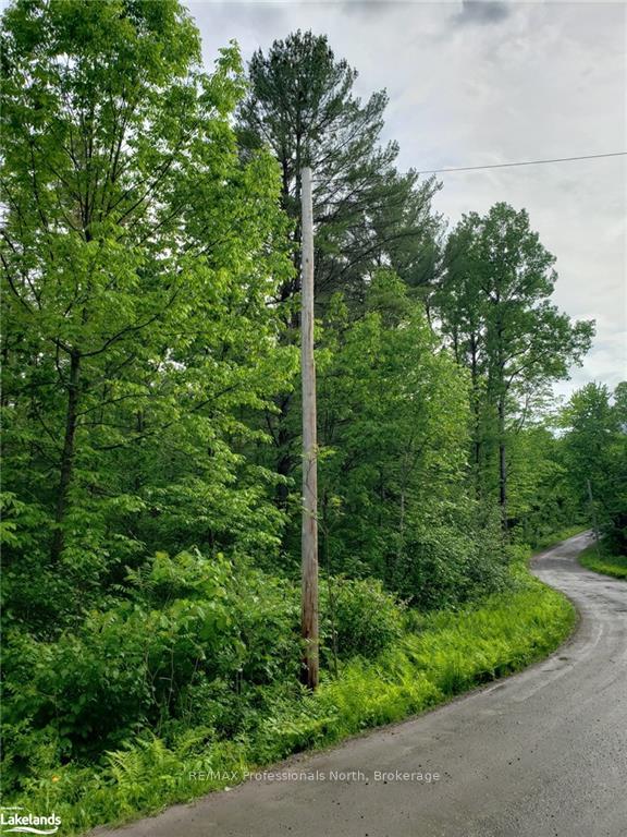Photo 2 of 1185 Sam Cook Road, Gravenhurst, Ryde — HOMEH