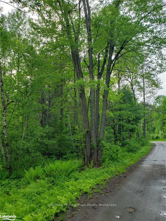 Photo 3 of 1185 Sam Cook Road, Gravenhurst, Ryde — HOMEH