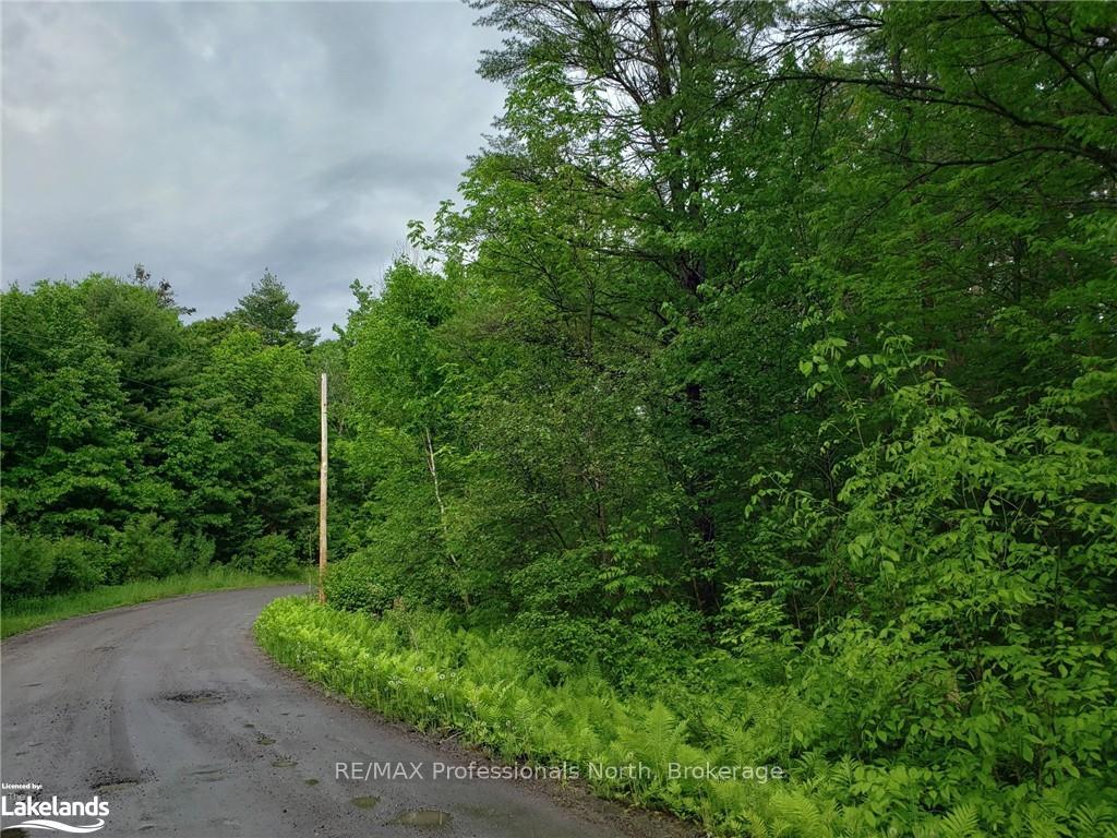 Photo 4 of 1185 Sam Cook Road, Gravenhurst, Ryde — HOMEH