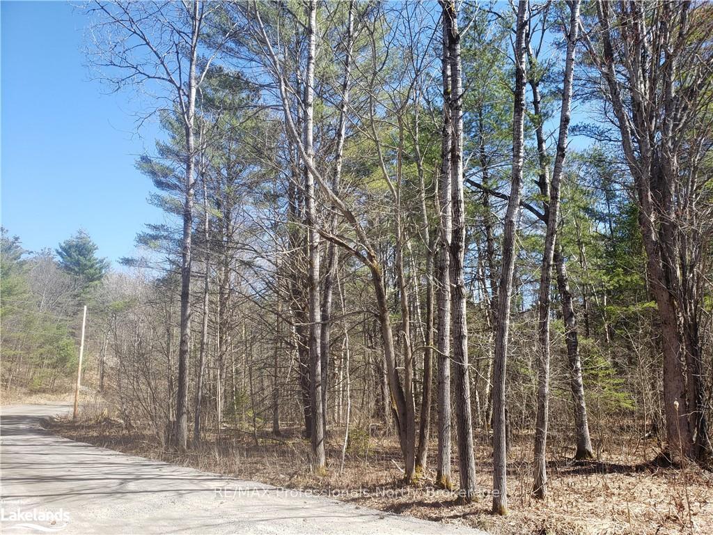 Photo 5 of 1185 Sam Cook Road, Gravenhurst, Ryde — HOMEH