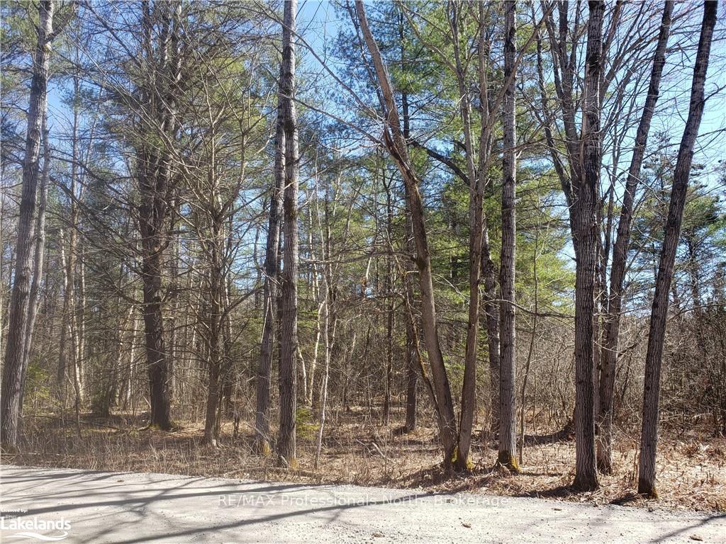 Photo 6 of 1185 Sam Cook Road, Gravenhurst, Ryde — HOMEH