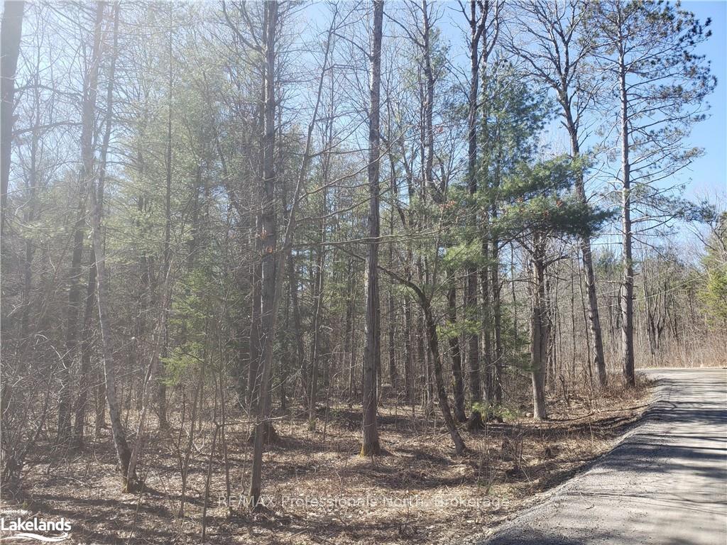 Photo 7 of 1185 Sam Cook Road, Gravenhurst, Ryde — HOMEH
