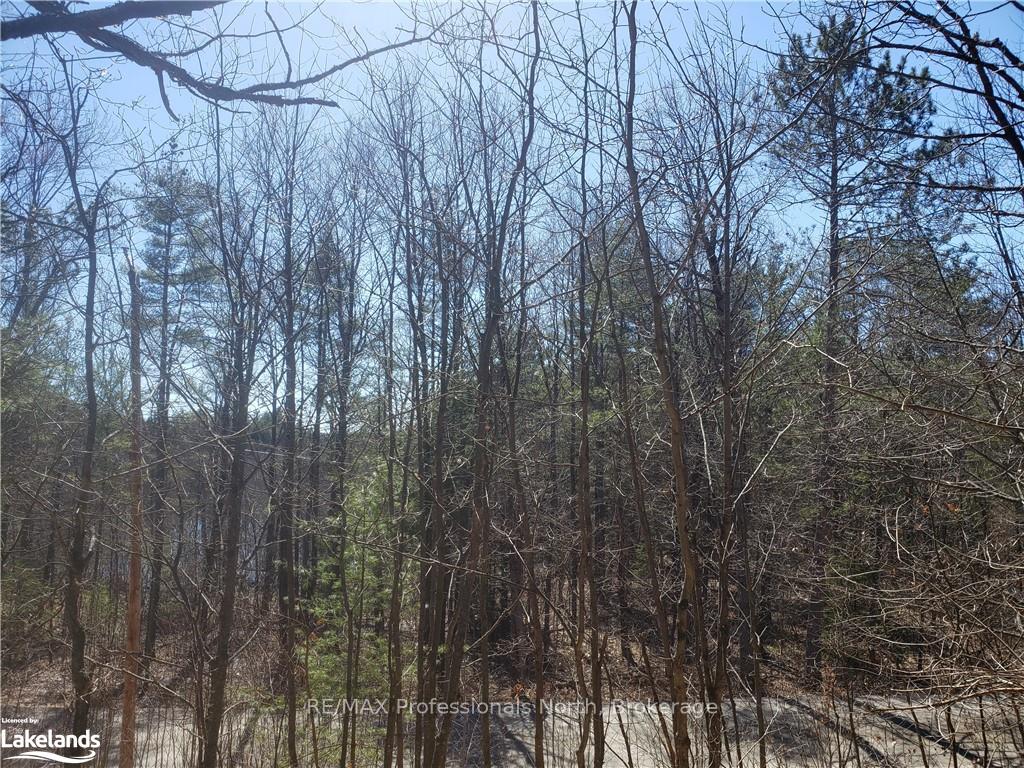 Photo 8 of 1185 Sam Cook Road, Gravenhurst, Ryde — HOMEH