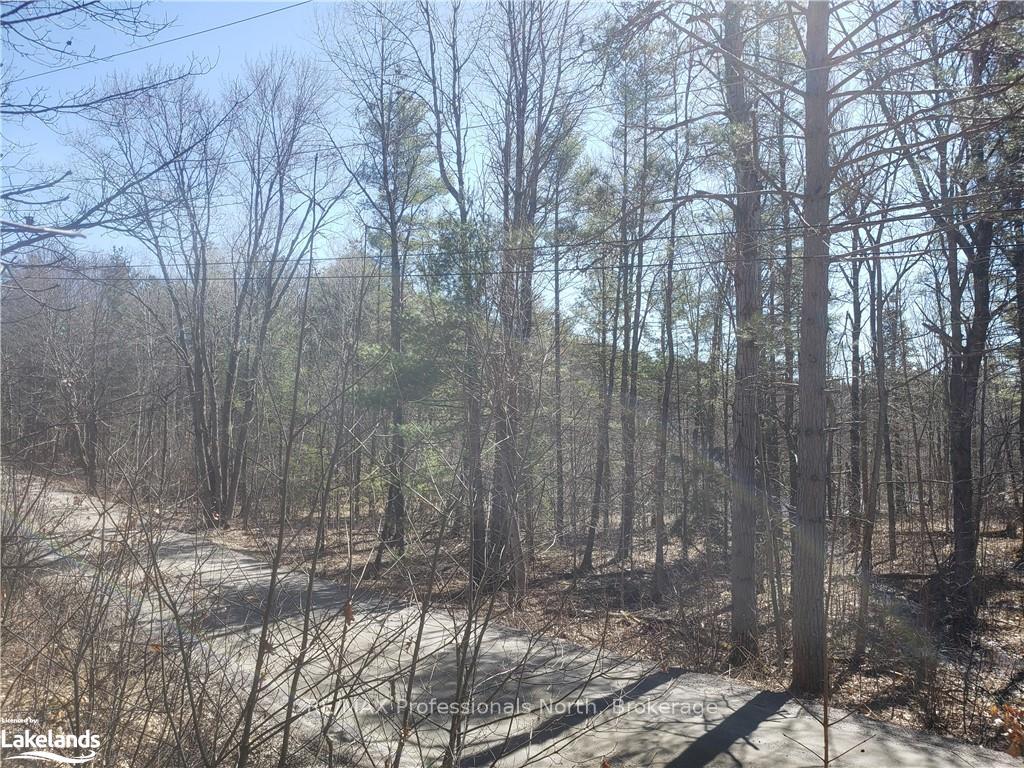 Photo 9 of 1185 Sam Cook Road, Gravenhurst, Ryde — HOMEH