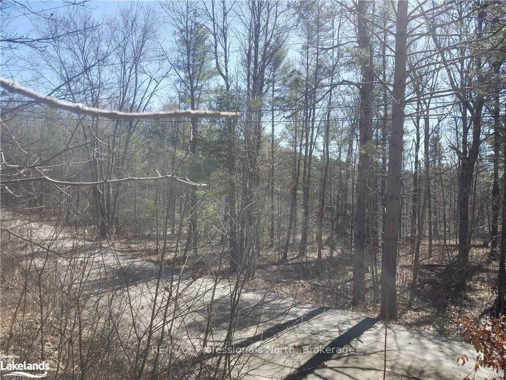 Photo 10 of 1185 Sam Cook Road, Gravenhurst, Ryde — HOMEH