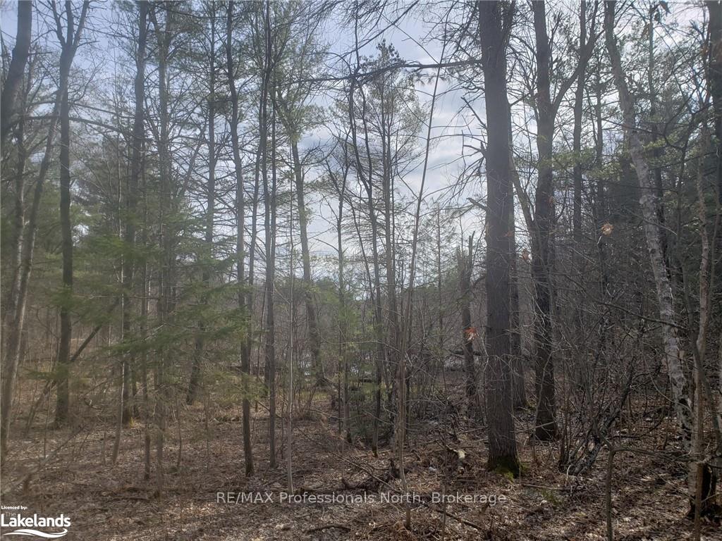 Photo 11 of 1185 Sam Cook Road, Gravenhurst, Ryde — HOMEH