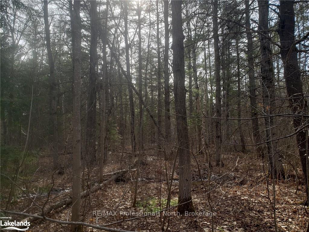Photo 12 of 1185 Sam Cook Road, Gravenhurst, Ryde — HOMEH