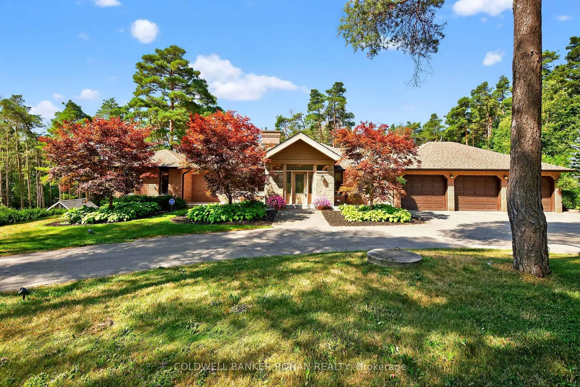 Front of 6 Pyne Hills Court