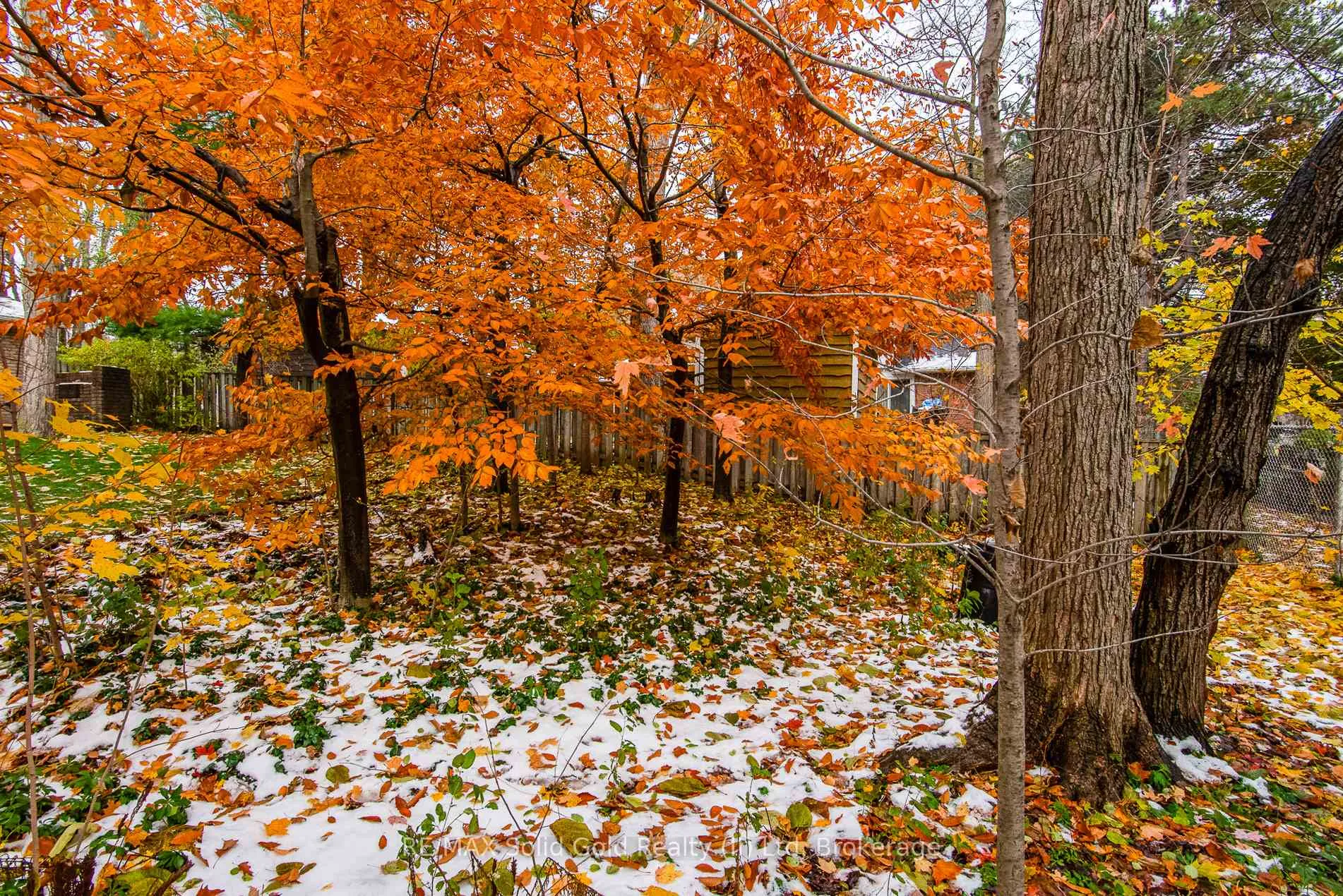 Photo 41 of 179 Shuh Avenue, Waterloo — HOMEH