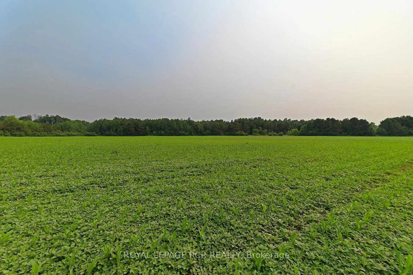 Photo 37 of 2964 12/13 Sunnidale Side Road S, Clearview, New Lowell — HOMEH