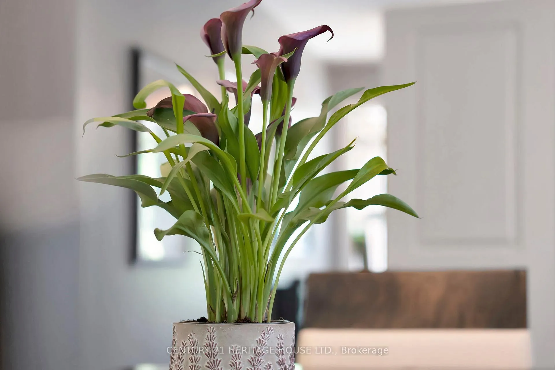 Photo 10 of 23 Hampton Street, Brant, Paris — HOMEH