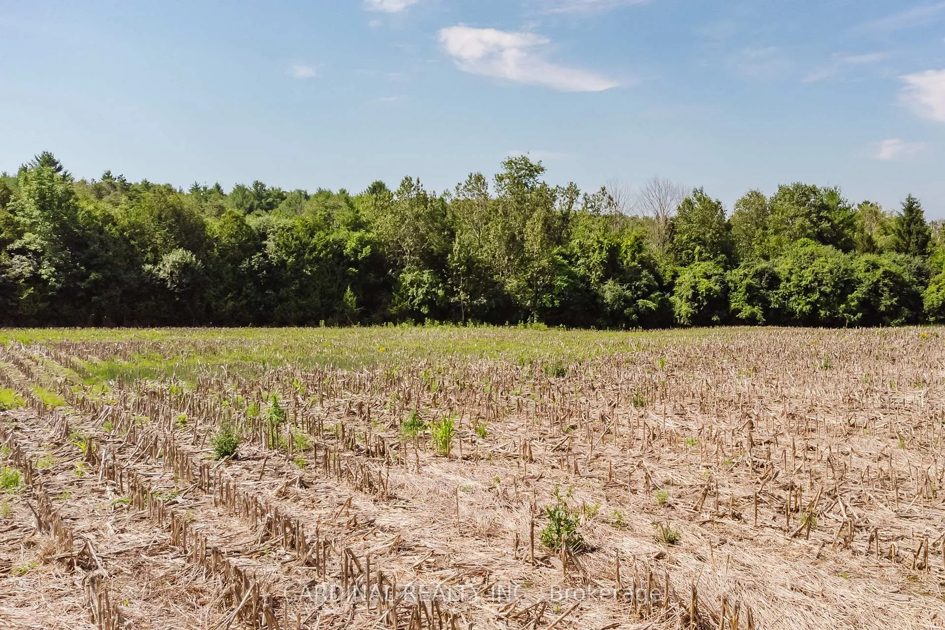 Photo 10 of Cunningham Road, Cobourg — HOMEH