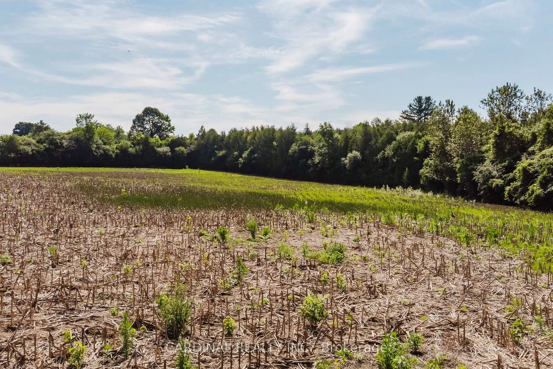 Photo 11 of Cunningham Road, Cobourg — HOMEH