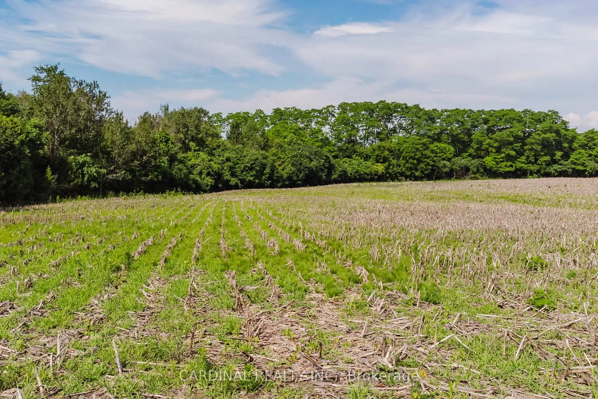 Photo 16 of Cunningham Road, Cobourg — HOMEH