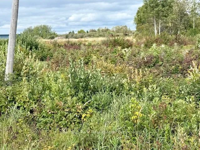 Photo 7 of Unit North Triangle, Highway 11 North, Englehart, Central Timiskaming — HOMEH