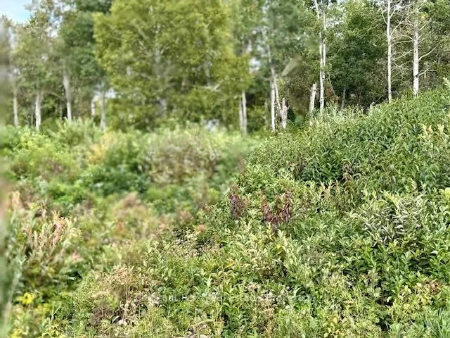 Photo 8 of Unit North Triangle, Highway 11 North, Englehart, Central Timiskaming — HOMEH