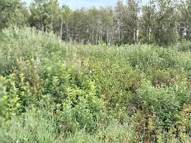 Photo 9 of Unit North Triangle, Highway 11 North, Englehart, Central Timiskaming — HOMEH