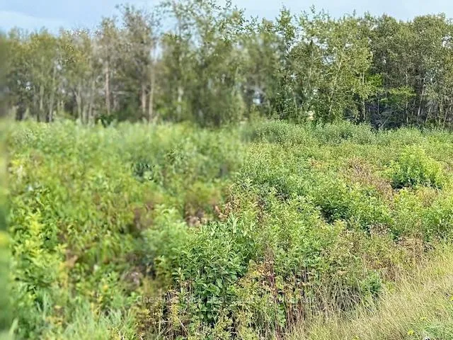 Photo 10 of Unit North Triangle, Highway 11 North, Englehart, Central Timiskaming — HOMEH