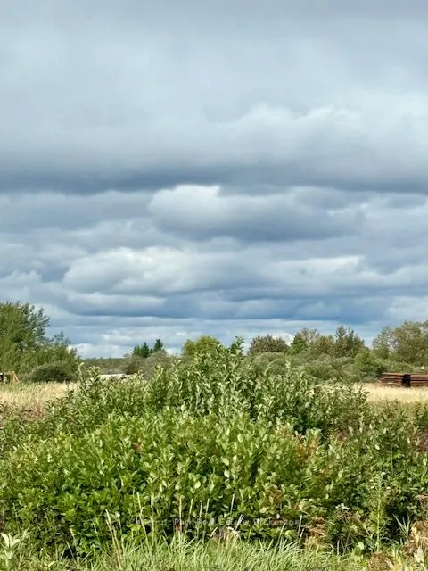 Photo 12 of Unit North Triangle, Highway 11 North, Englehart, Central Timiskaming — HOMEH