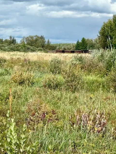 Photo 14 of Unit North Triangle, Highway 11 North, Englehart, Central Timiskaming — HOMEH