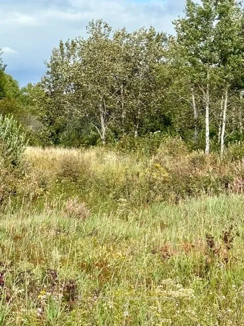 Photo 15 of Unit North Triangle, Highway 11 North, Englehart, Central Timiskaming — HOMEH