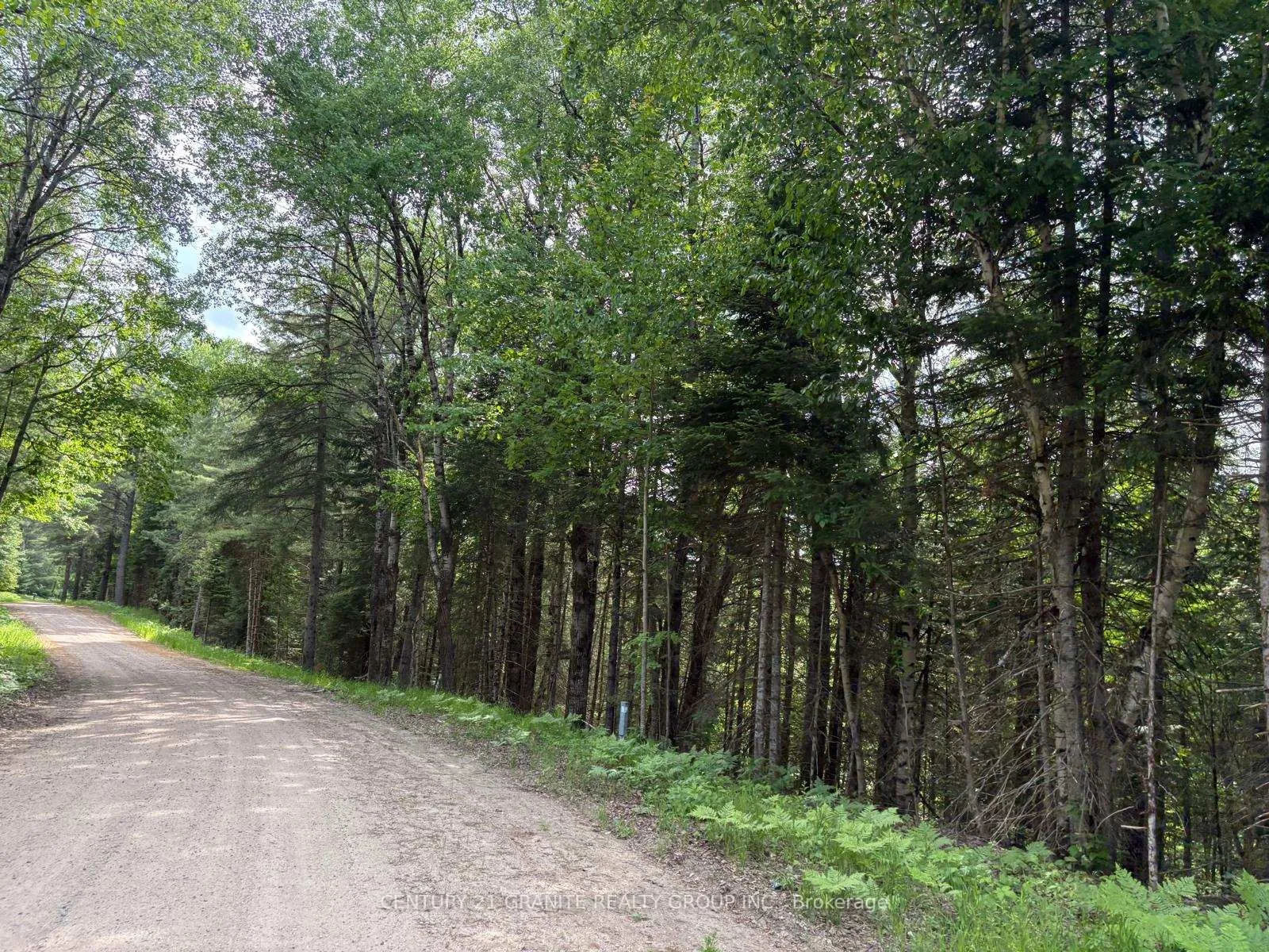 Photo 3 of Thibadeau Road, Bancroft, Dungannon Ward — HOMEH