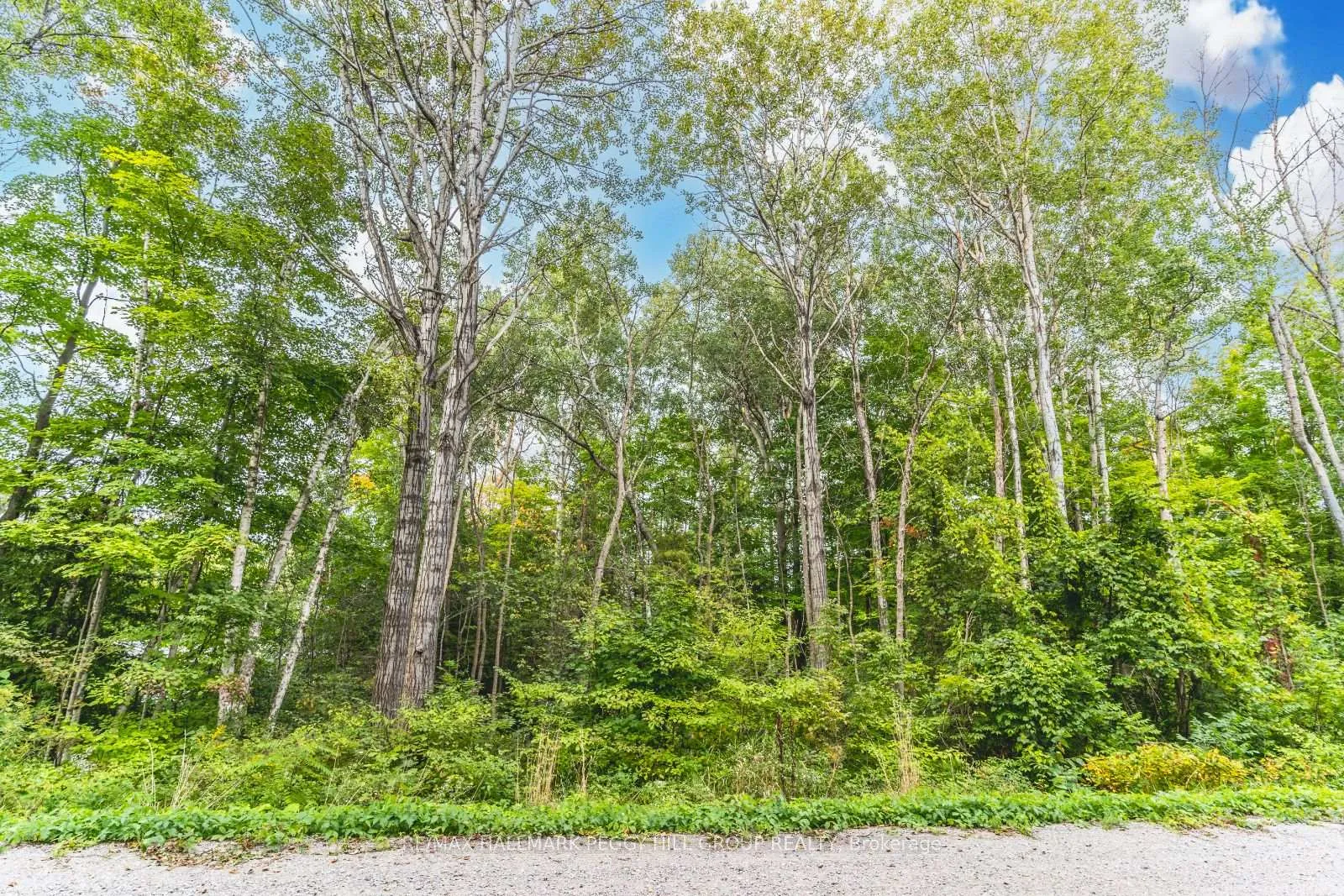 Photo 4 of 417 Young Avenue, Tay, Port McNicoll — HOMEH