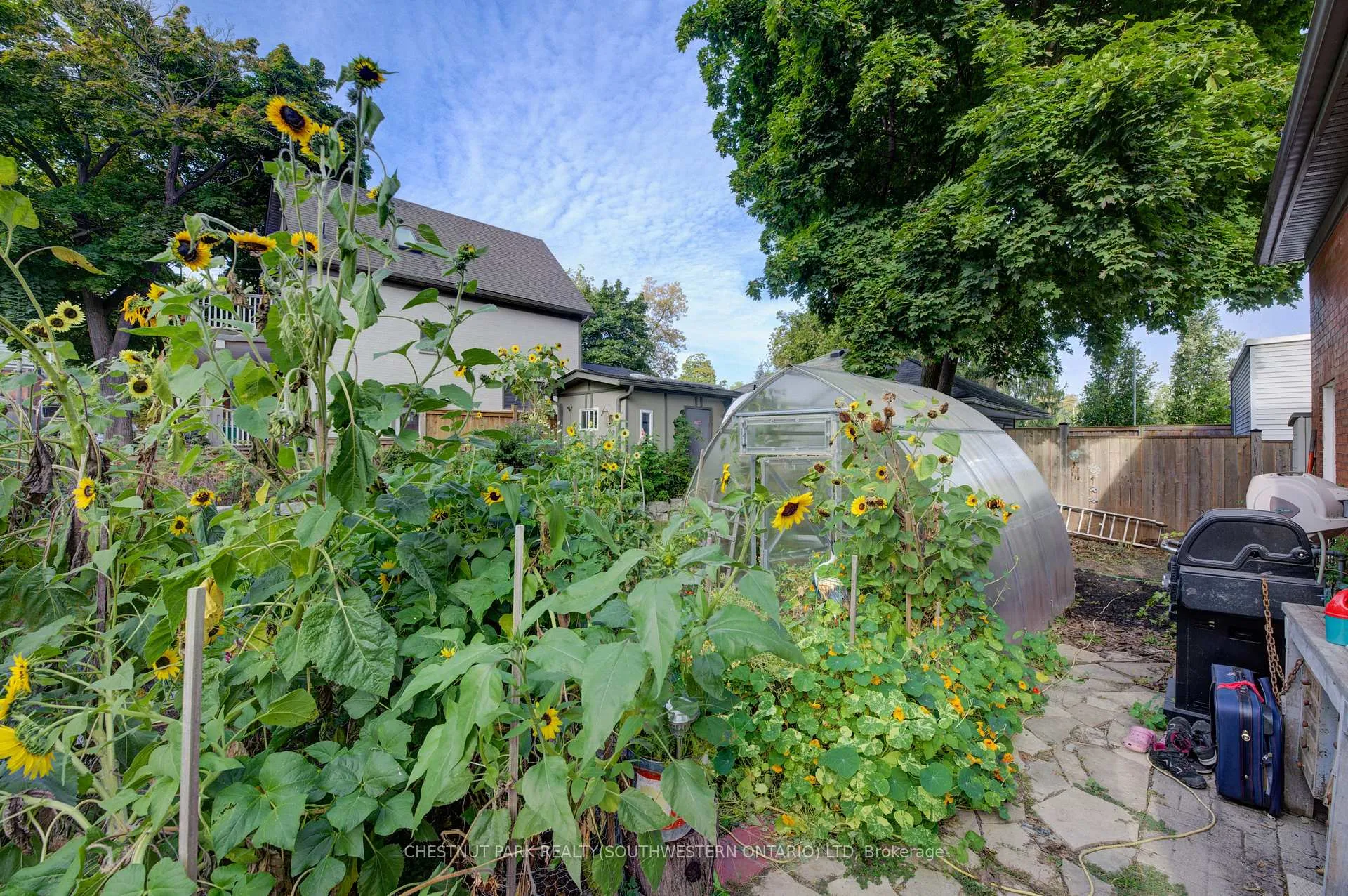 Photo 4 of 15 St Leger Street, Kitchener — HOMEH
