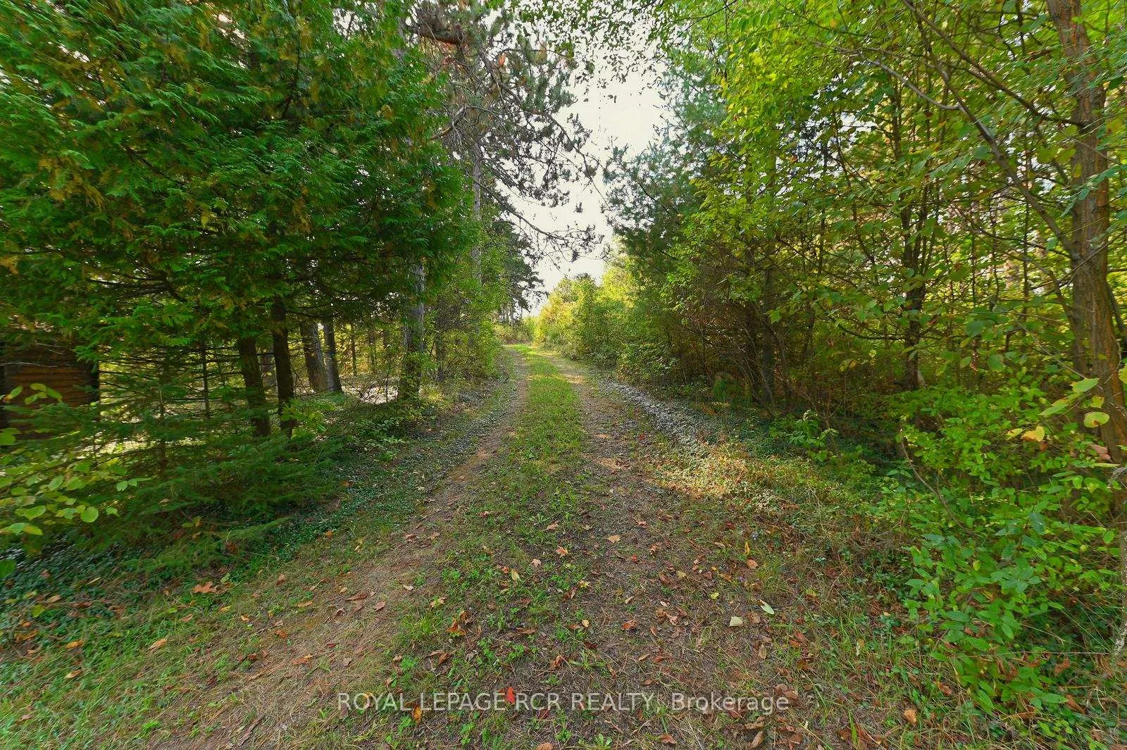 Photo 18 of 838471 4th Line E, Mulmur, Rural Mulmur — HOMEH