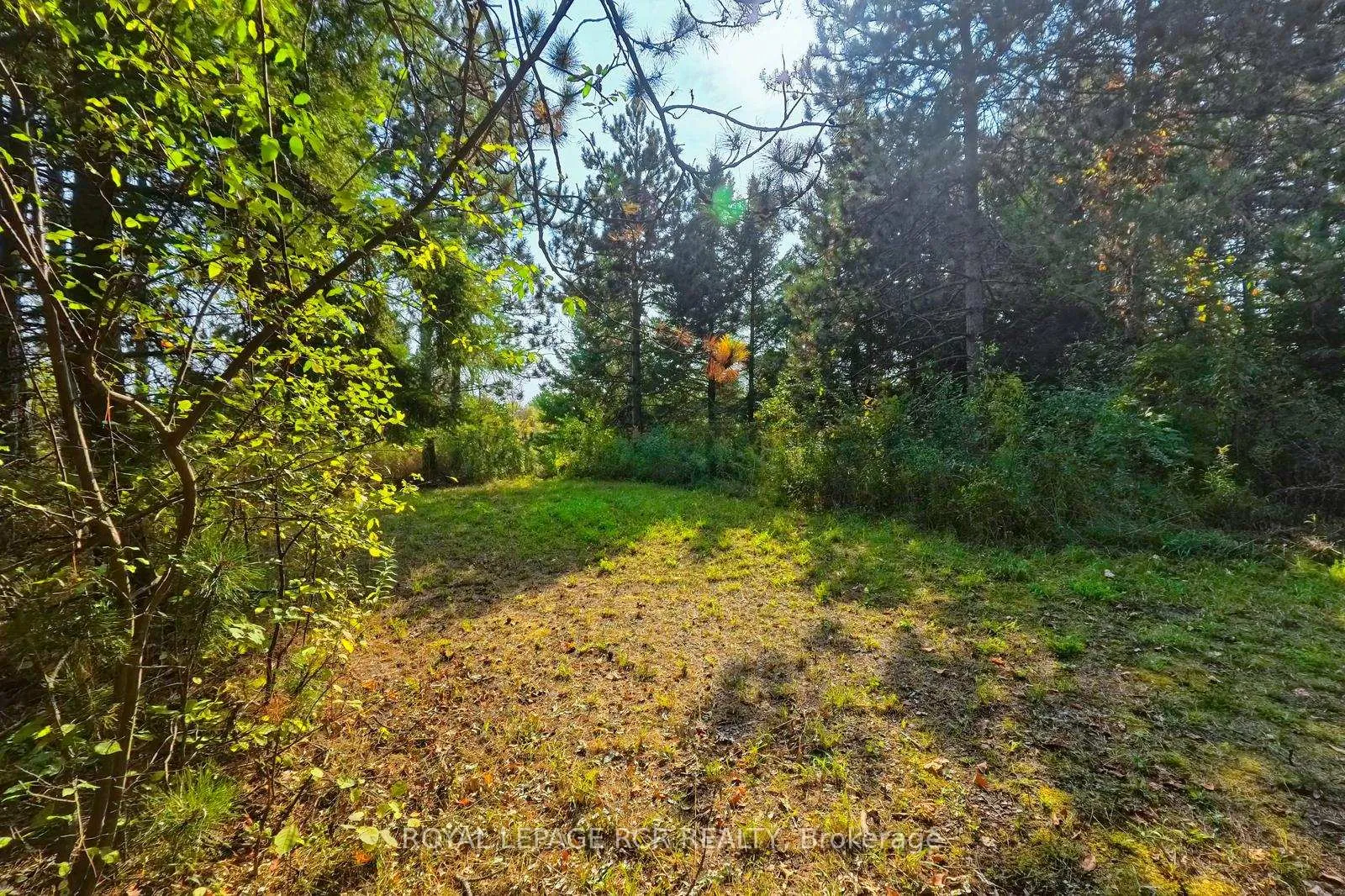 Photo 19 of 838471 4th Line E, Mulmur, Rural Mulmur — HOMEH