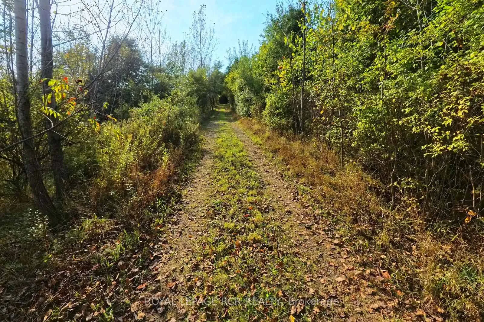 Photo 21 of 838471 4th Line E, Mulmur, Rural Mulmur — HOMEH