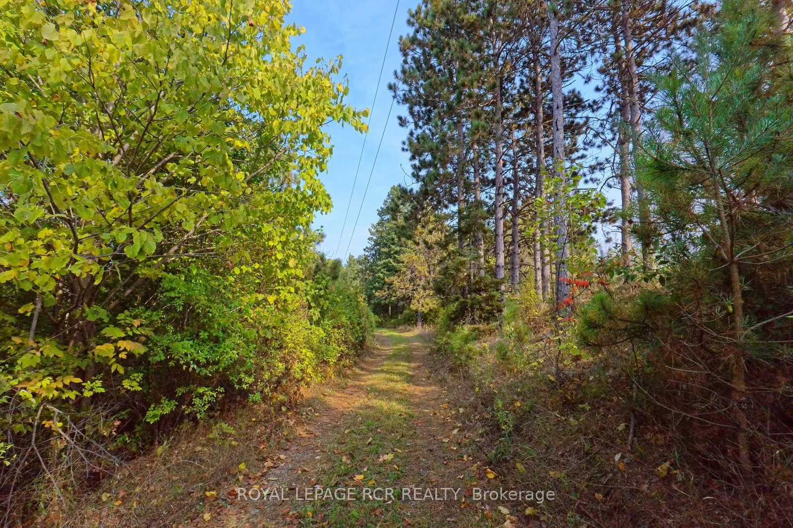 Photo 22 of 838471 4th Line E, Mulmur, Rural Mulmur — HOMEH