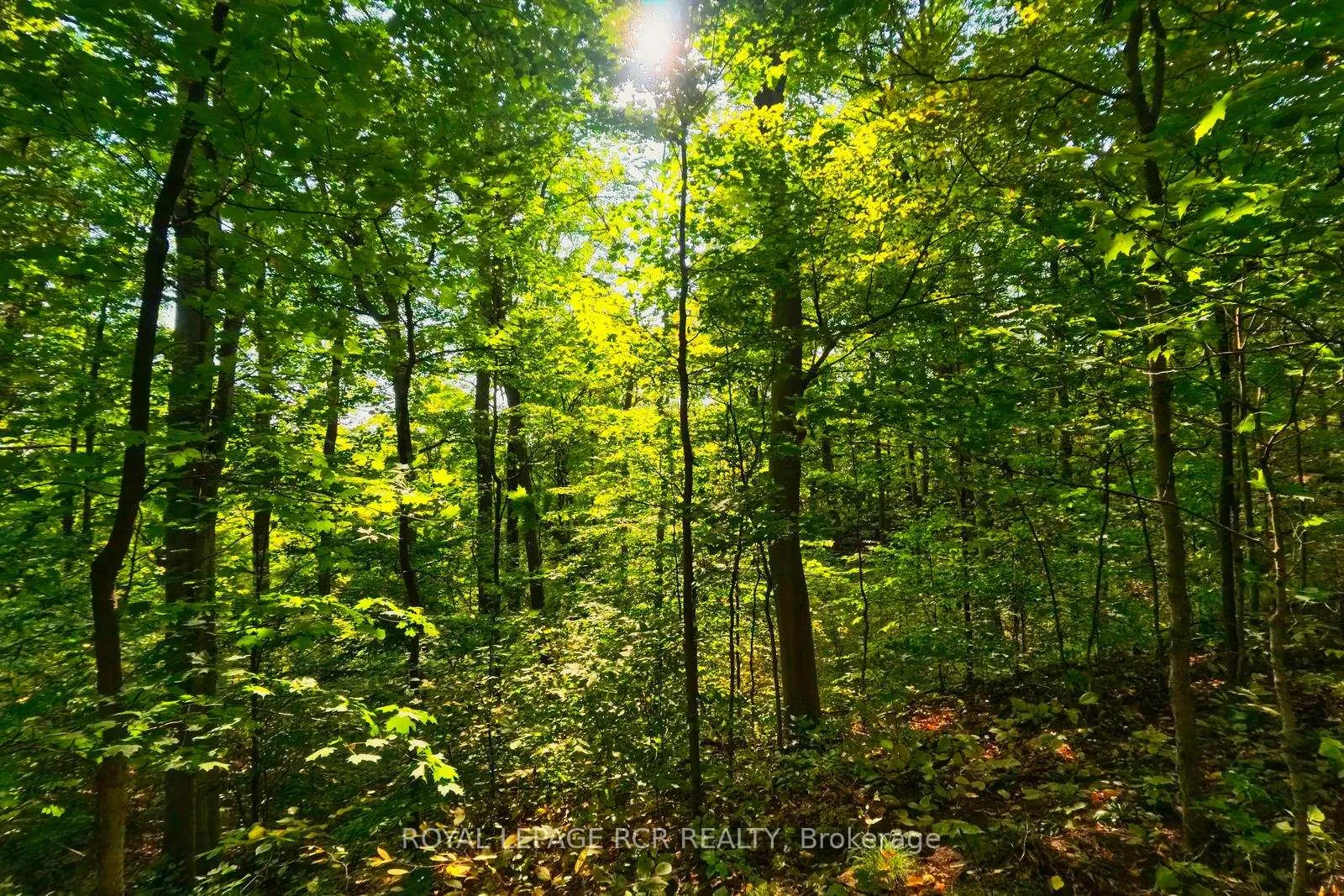 Photo 23 of 838471 4th Line E, Mulmur, Rural Mulmur — HOMEH