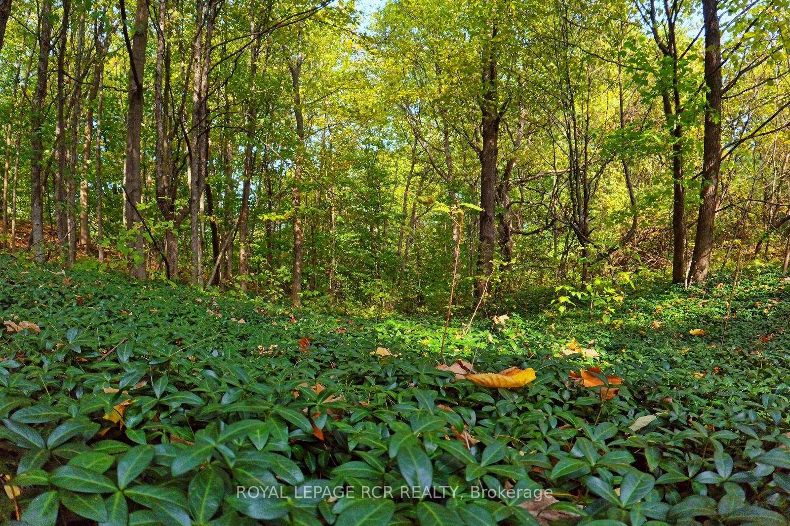 Photo 25 of 838471 4th Line E, Mulmur, Rural Mulmur — HOMEH