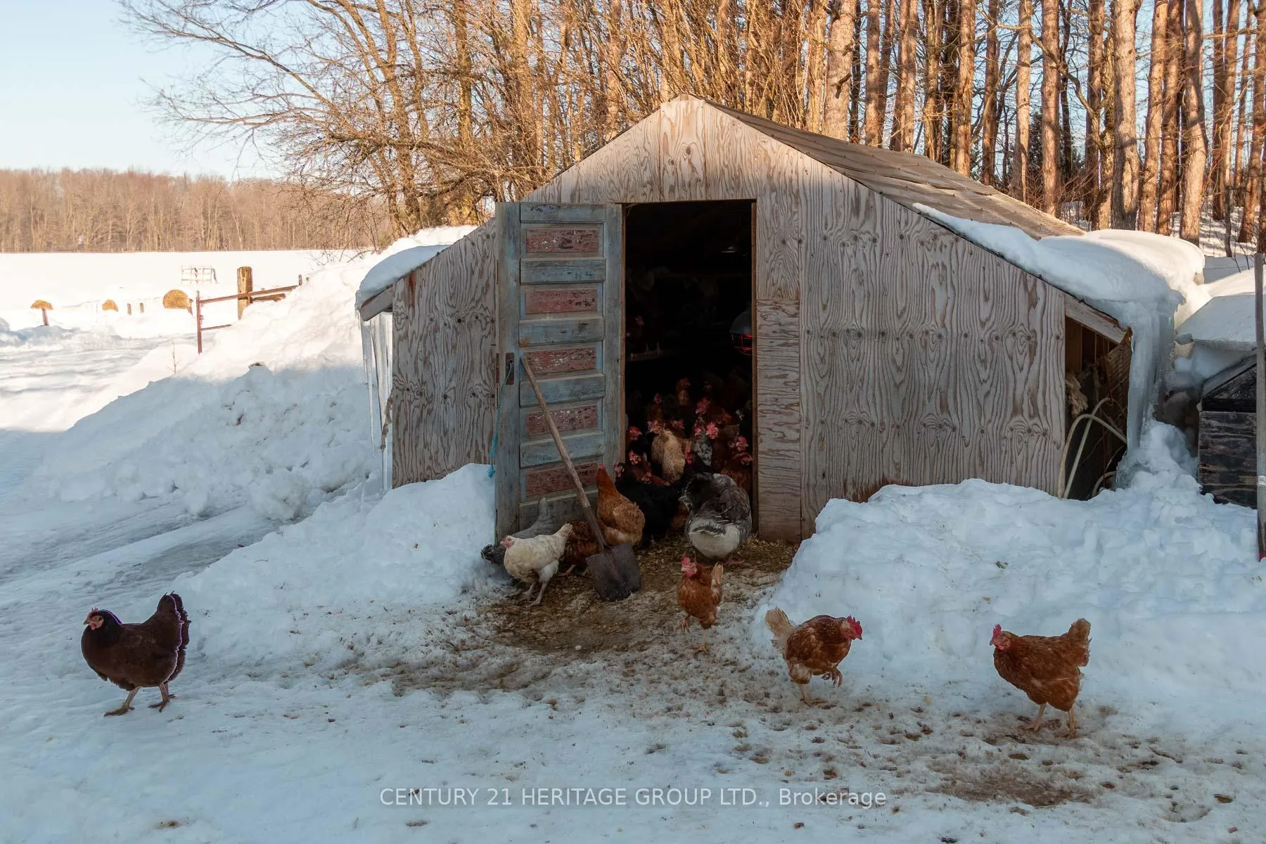 Photo 5 of 797177 East Back Line, Chatsworth — HOMEH