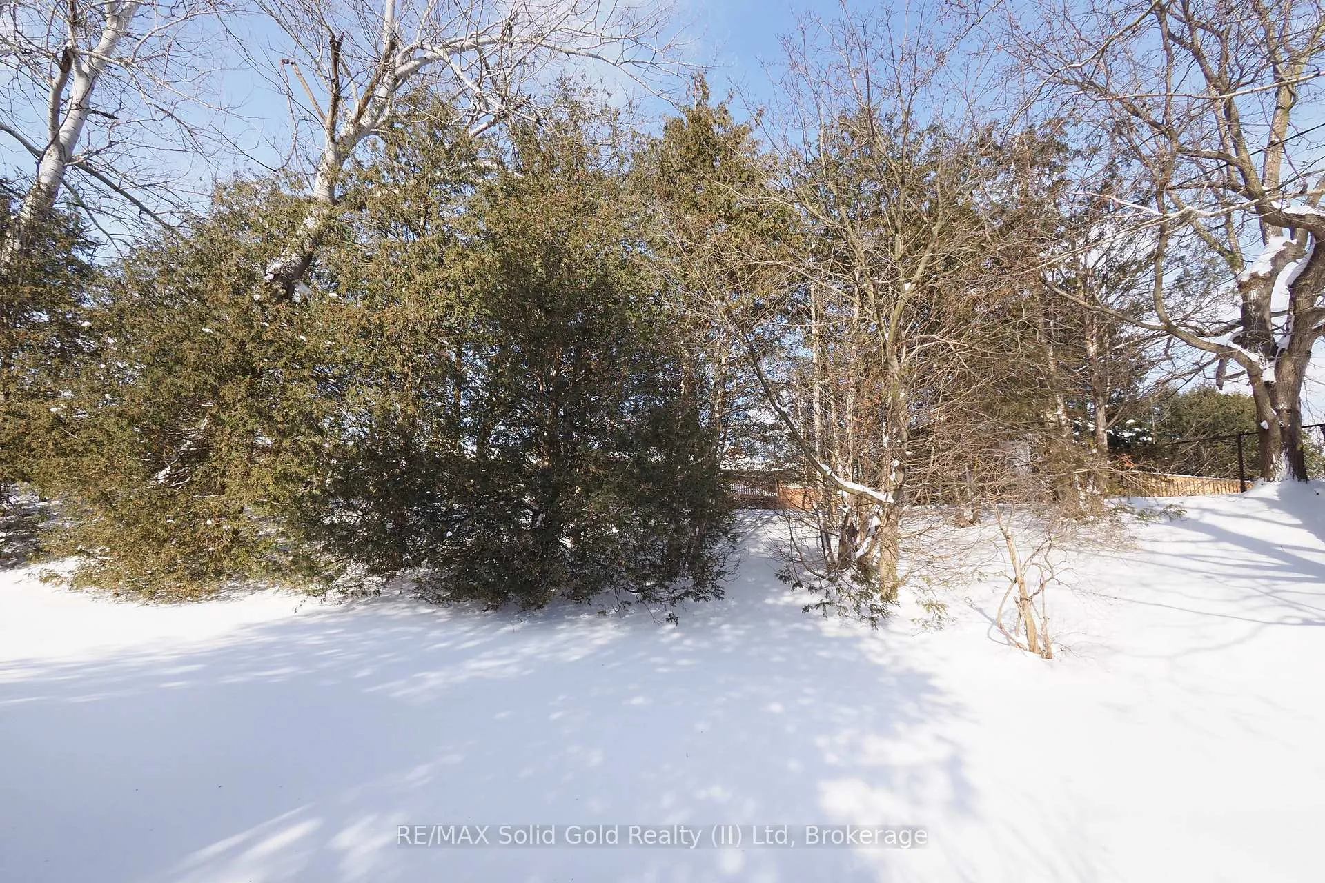 Photo 31 of 249 Murdock Avenue, Waterloo — HOMEH