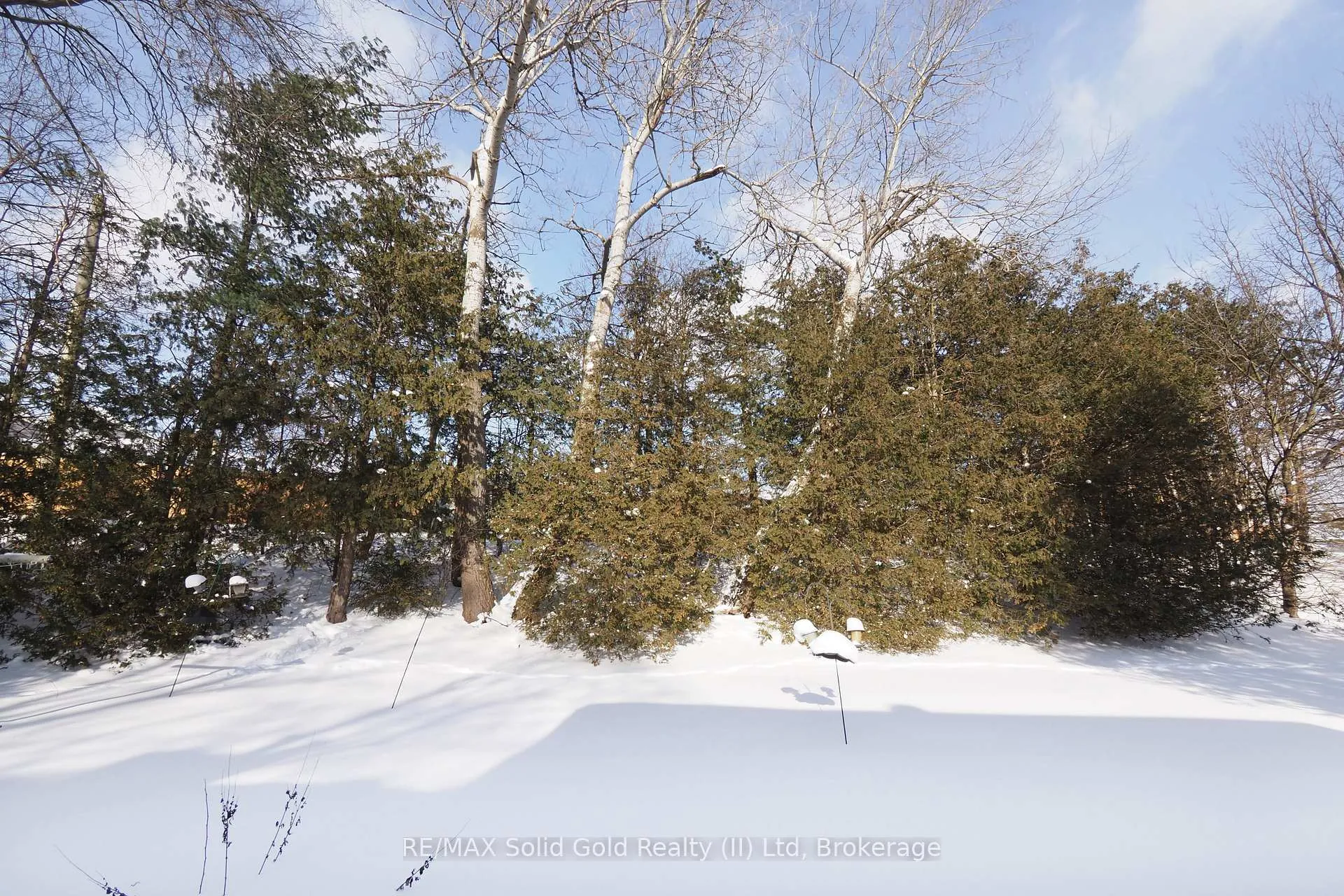 Photo 32 of 249 Murdock Avenue, Waterloo — HOMEH
