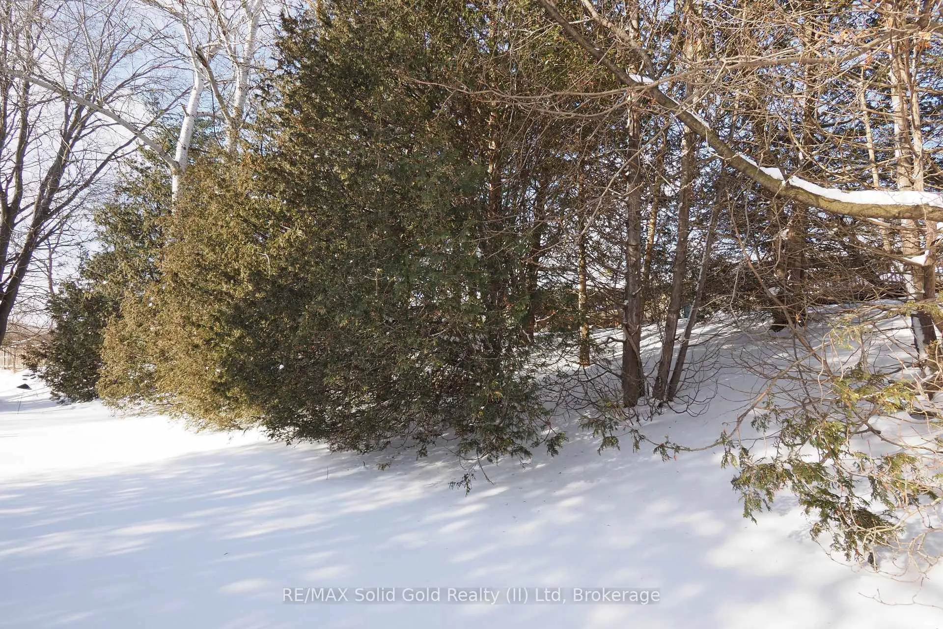 Photo 34 of 249 Murdock Avenue, Waterloo — HOMEH