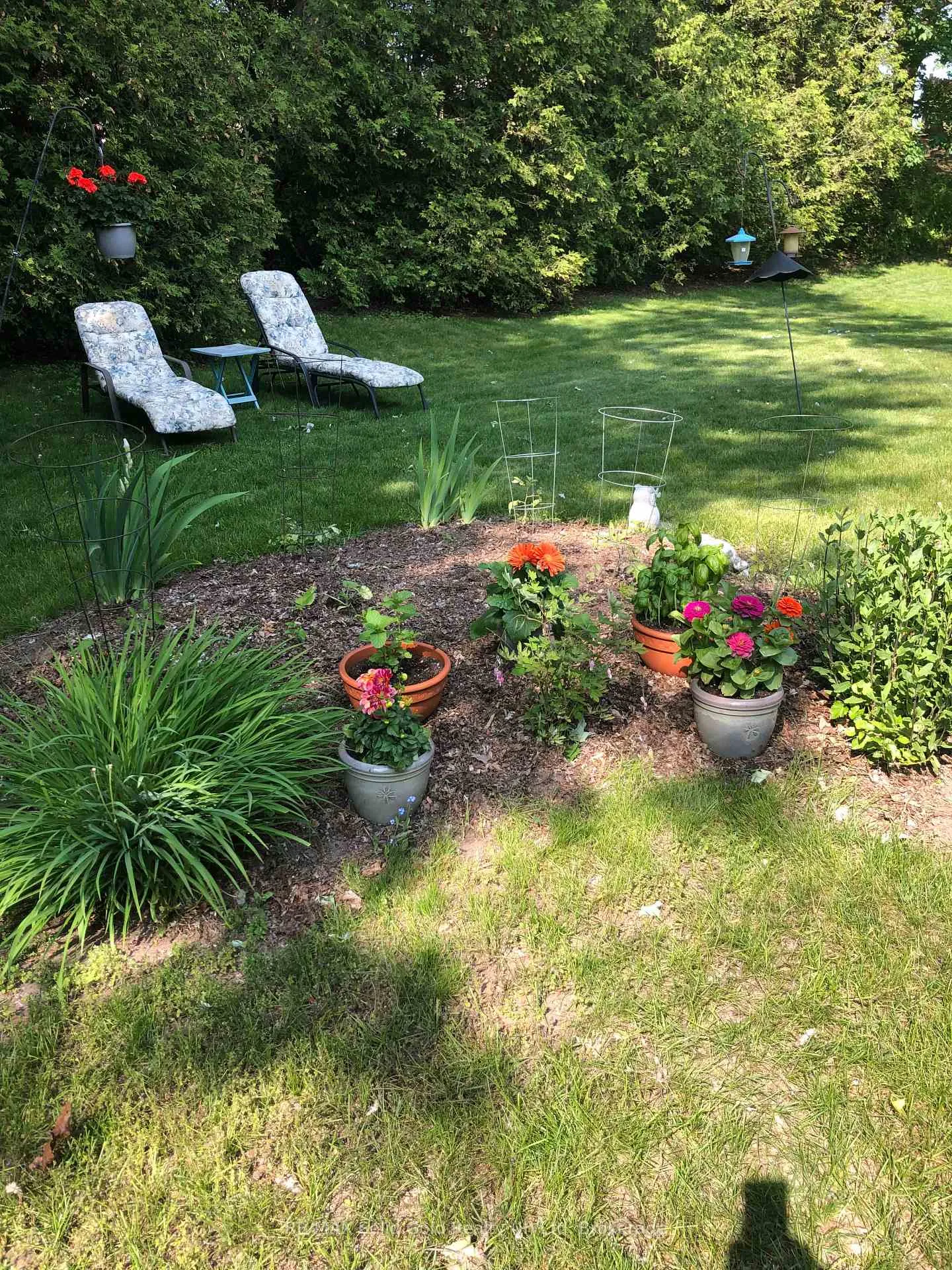 Photo 41 of 249 Murdock Avenue, Waterloo — HOMEH