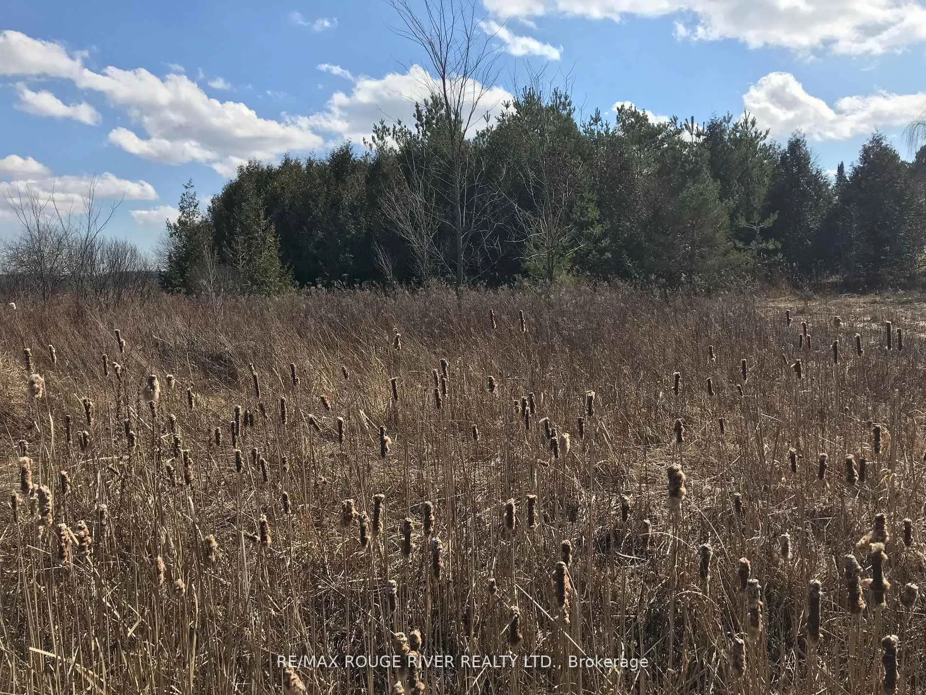 Photo 4 of 749 Regional Rd 13, Uxbridge, Rural Uxbridge — HOMEH