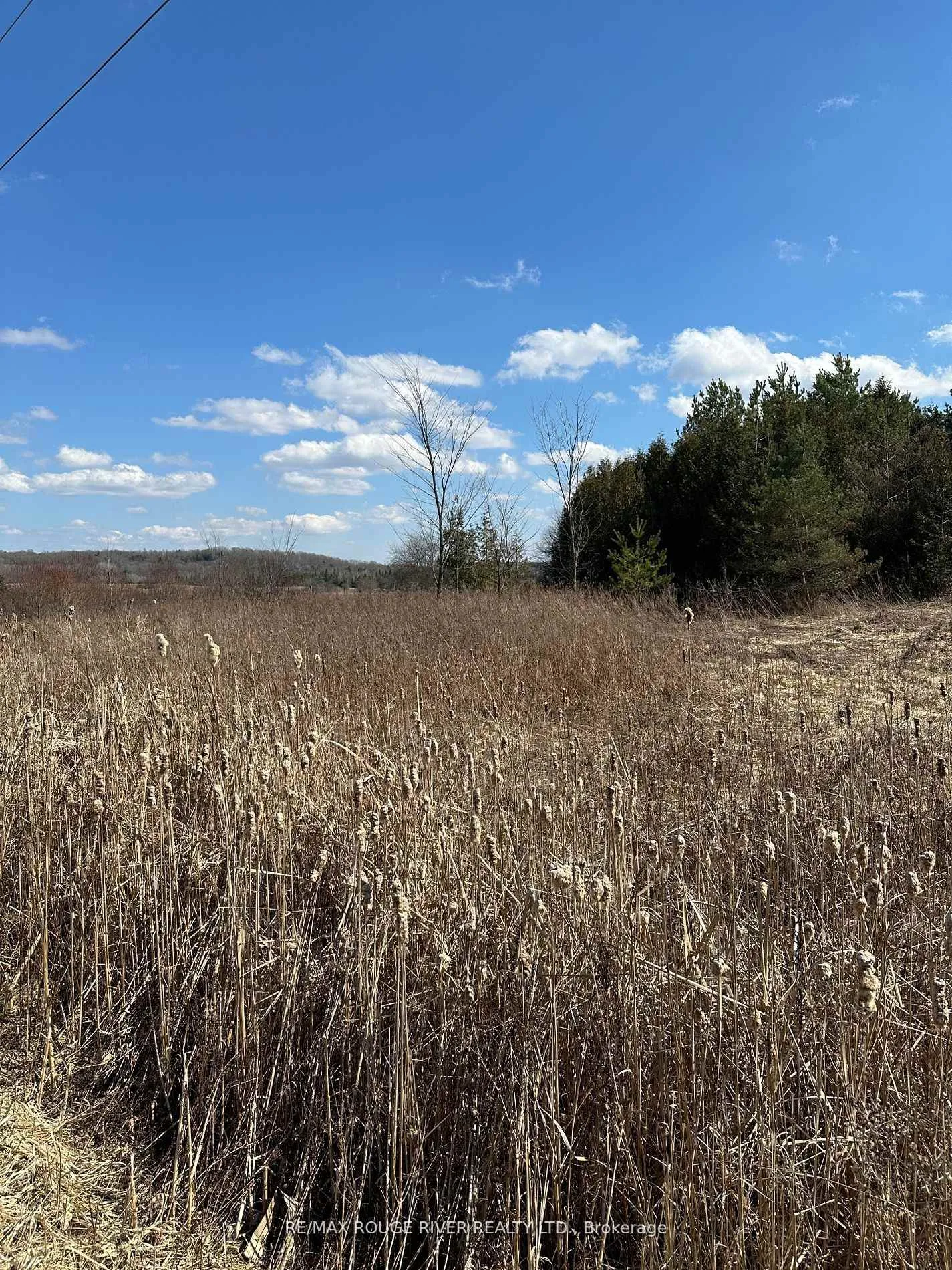Photo 14 of 749 Regional Rd 13, Uxbridge, Rural Uxbridge — HOMEH