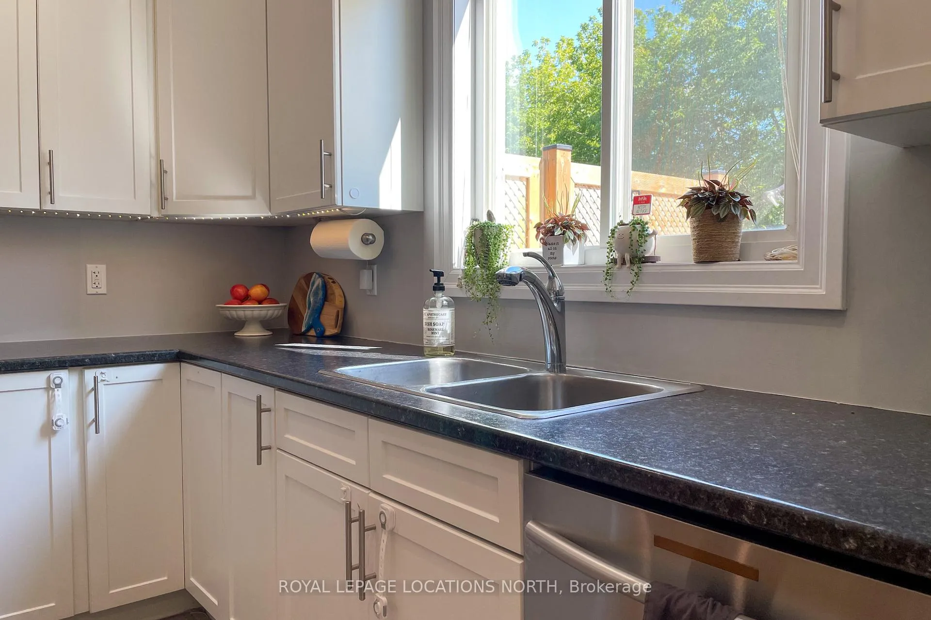 Photo 6 of 29 Garbutt Crescent, Collingwood — HOMEH