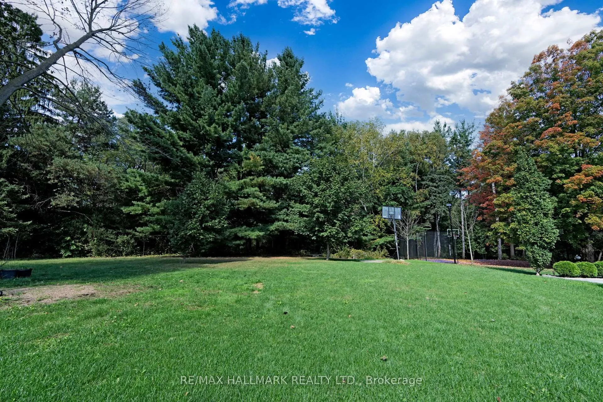 Photo 40 of 46 Proctor Avenue, Markham, Grandview — HOMEH