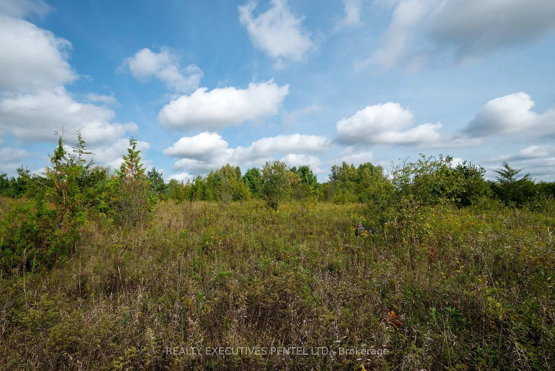 Photo 12 of 3055 Harwood Road, Hamilton Township, Rural Hamilton — HOMEH