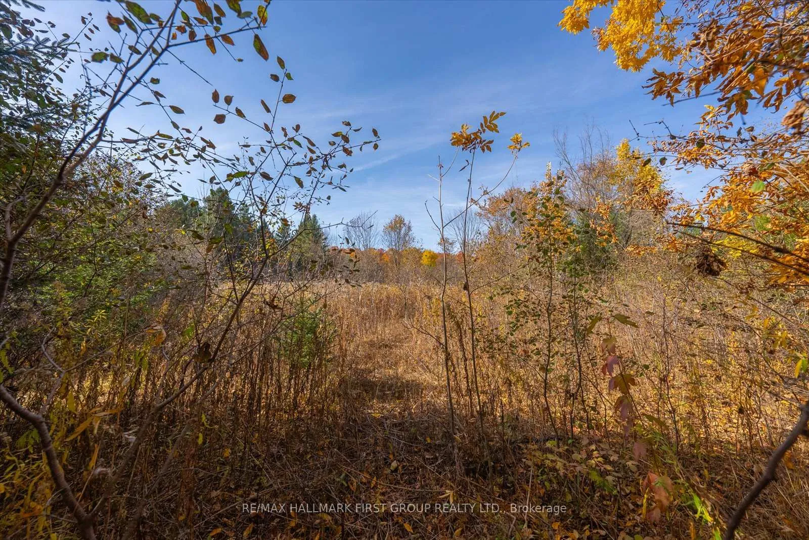 Photo 15 of 3450 Audley Road, Pickering, Rural Pickering — HOMEH