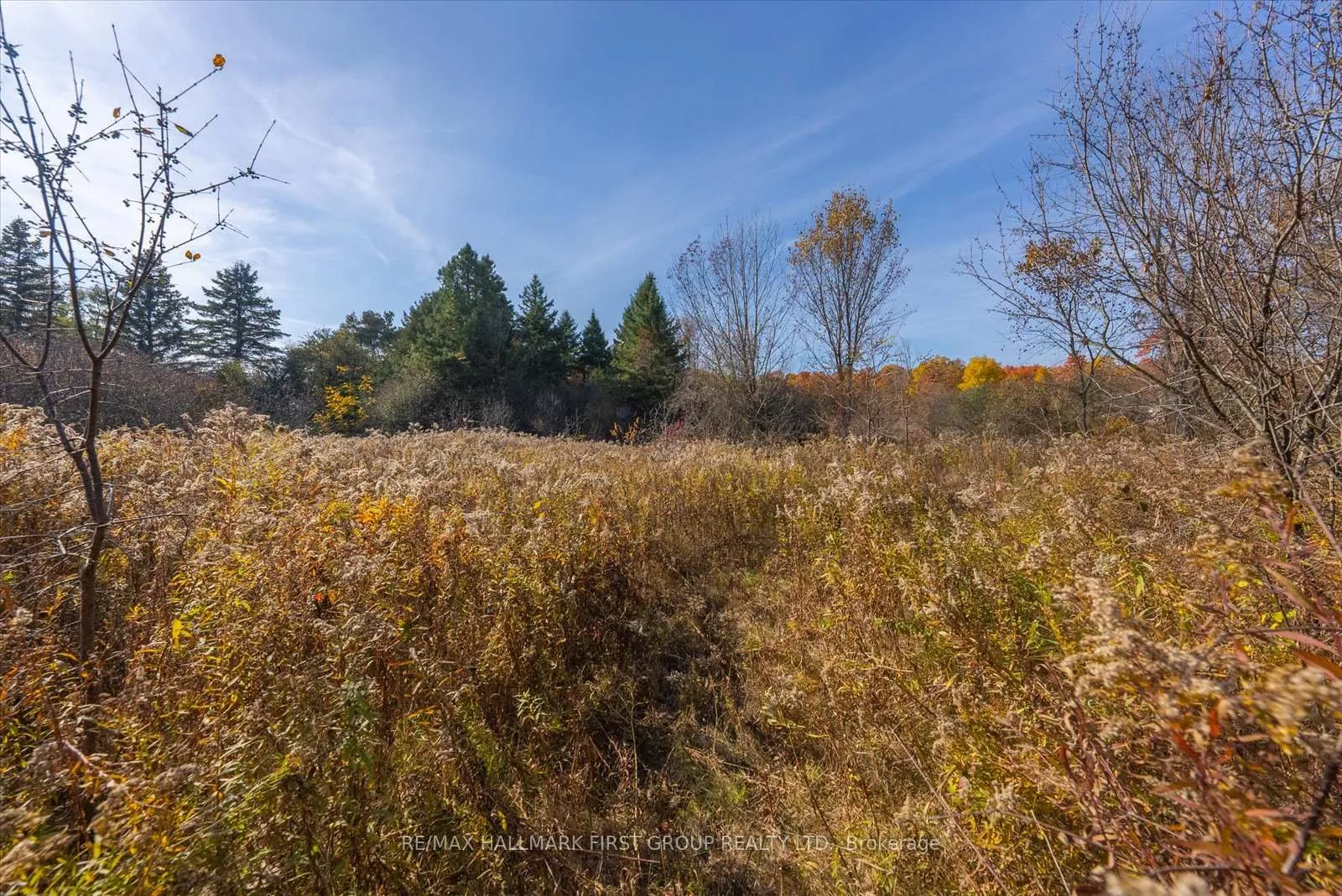 Photo 16 of 3450 Audley Road, Pickering, Rural Pickering — HOMEH